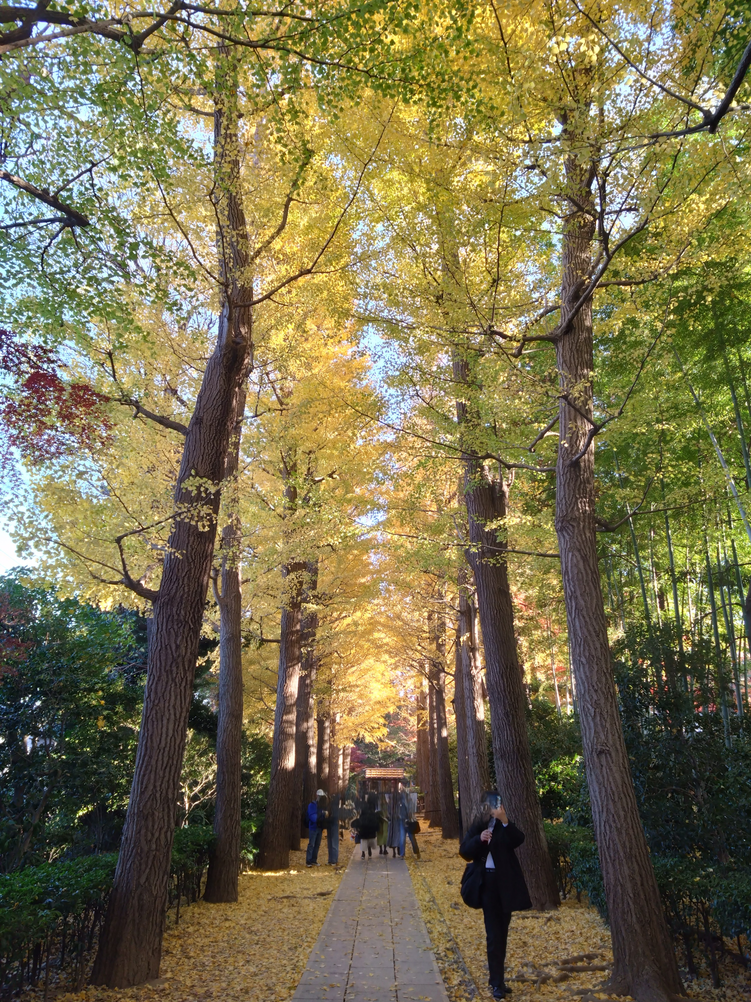 �j���[�X�ʐ^