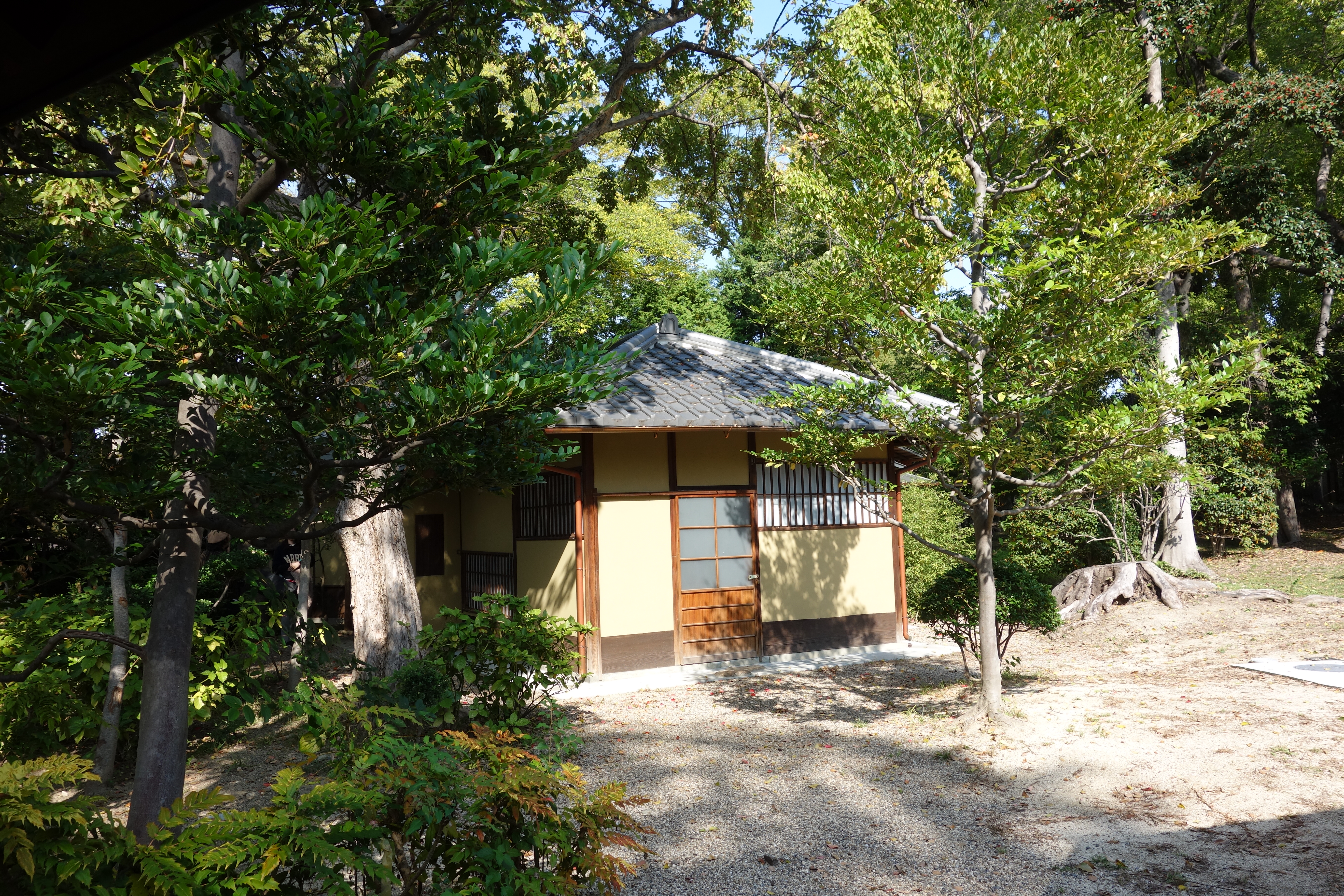 �j���[�X�ʐ^