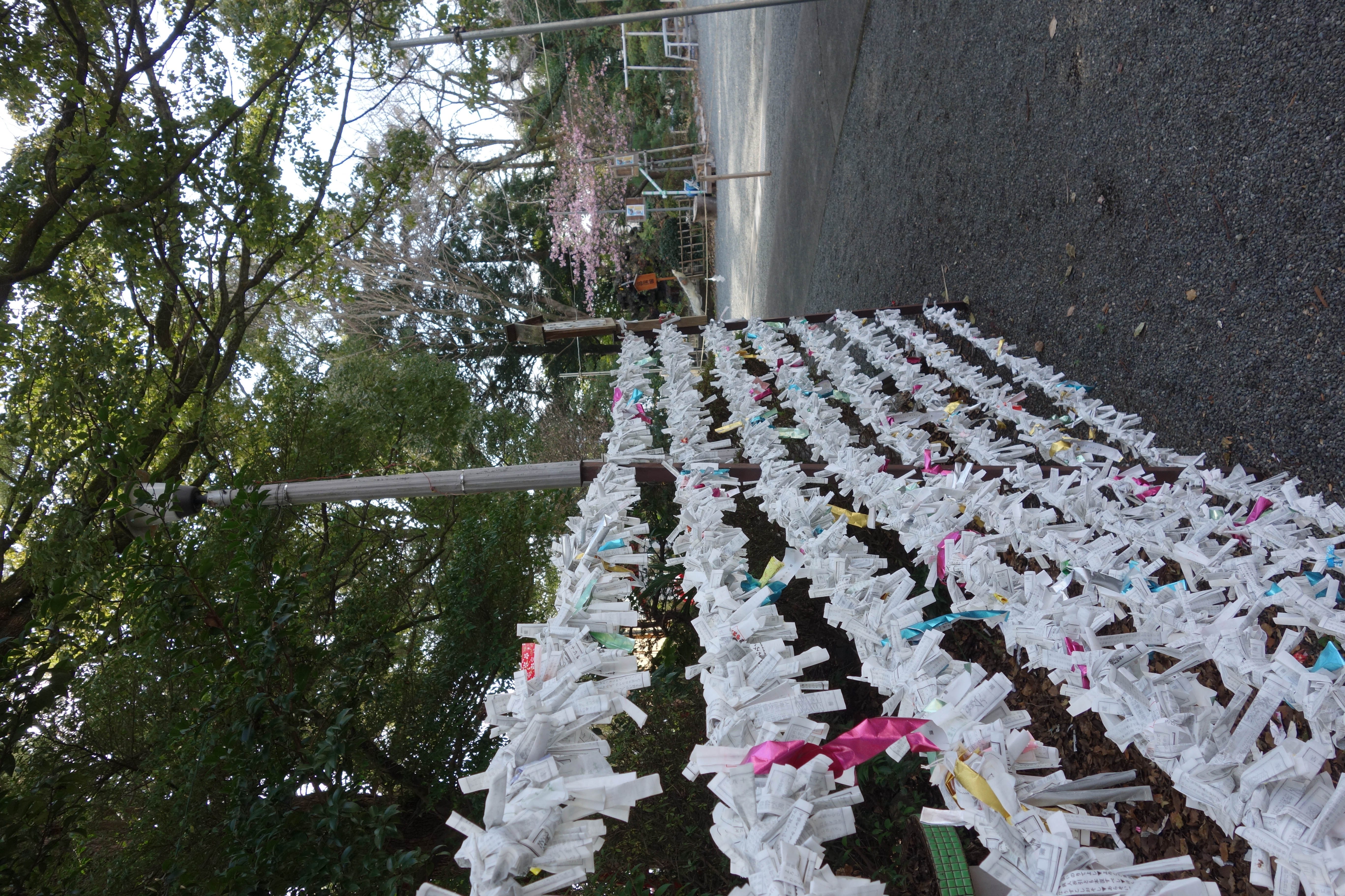 �j���[�X�ʐ^